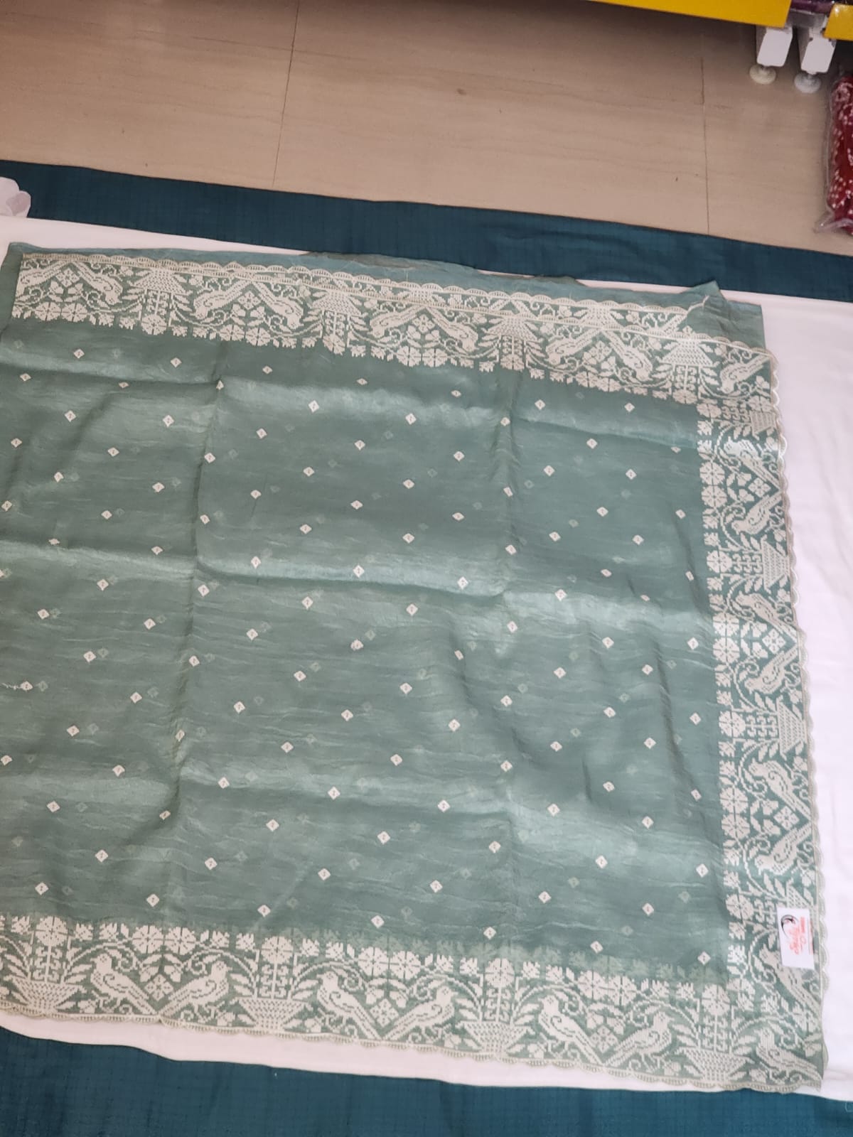 Mint Green with White Embroidery Organza Saree