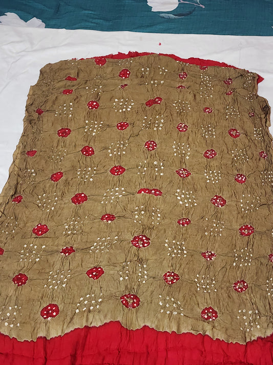 Red Bandhani Modal Silk Saree with Golden Panels